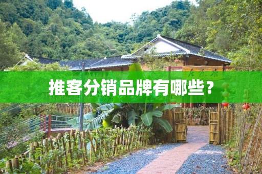 推客分销品牌有哪些？