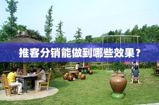 推客分销能做到哪些效果？