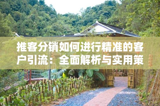 推客分销如何进行精准的客户引流：全面解析与实用策略