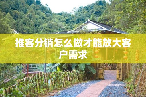 推客分销怎么做才能放大客户需求