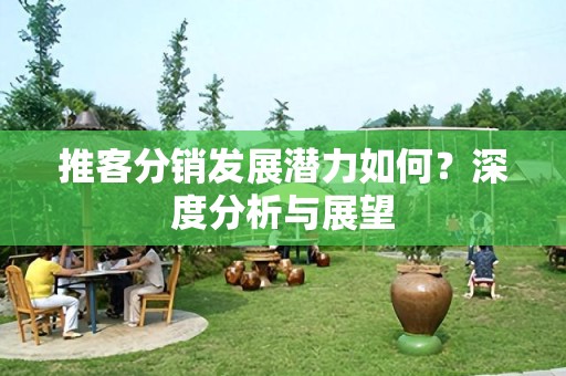 推客分销发展潜力如何？深度分析与展望