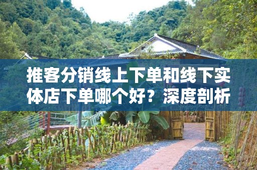 推客分销线上下单和线下实体店下单哪个好？深度剖析两者优劣