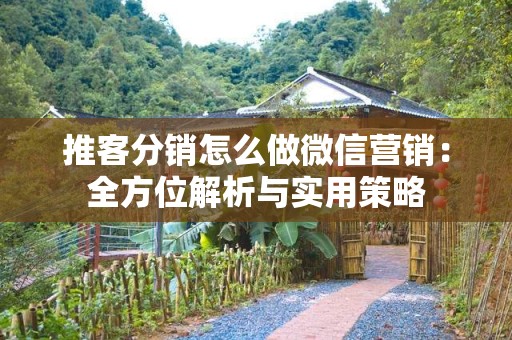 推客分销怎么做微信营销：全方位解析与实用策略
