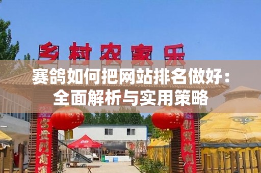 赛鸽如何把网站排名做好：全面解析与实用策略