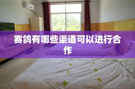 赛鸽有哪些渠道可以进行合作