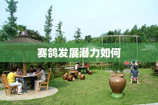 赛鸽发展潜力如何