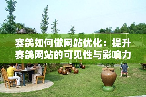赛鸽如何做网站优化：提升赛鸽网站的可见性与影响力