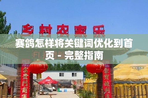 赛鸽怎样将关键词优化到首页 - 完整指南