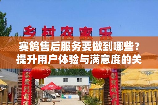 赛鸽售后服务要做到哪些？提升用户体验与满意度的关键