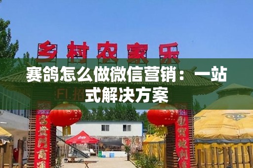 赛鸽怎么做微信营销：一站式解决方案