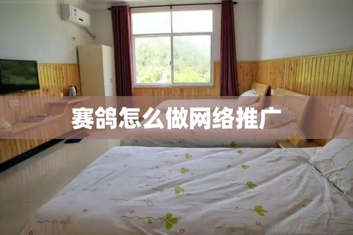 赛鸽怎么做网络推广