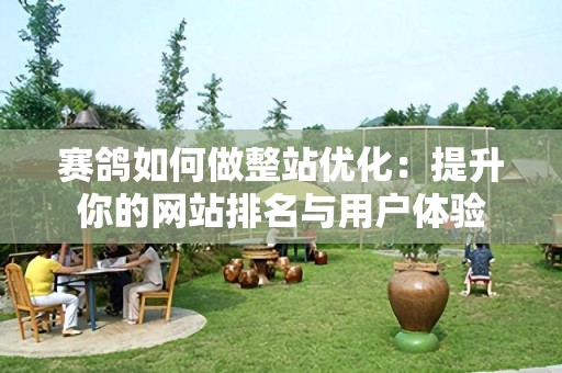 赛鸽如何做整站优化：提升你的网站排名与用户体验