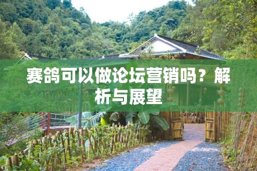 赛鸽可以做论坛营销吗？解析与展望