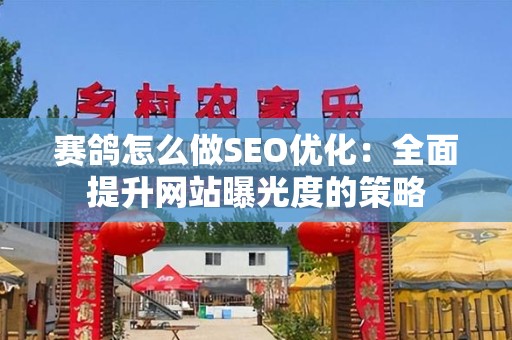 赛鸽怎么做SEO优化：全面提升网站曝光度的策略