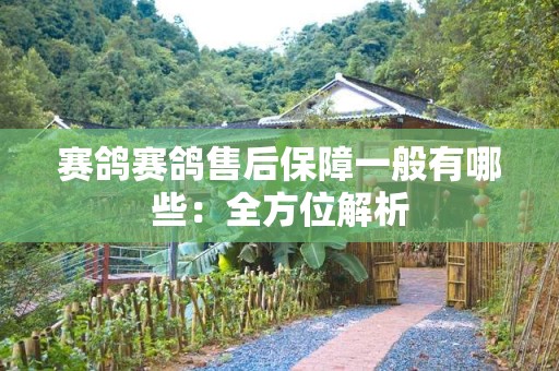赛鸽赛鸽售后保障一般有哪些：全方位解析