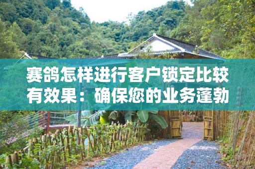赛鸽怎样进行客户锁定比较有效果：确保您的业务蓬勃发展的策略