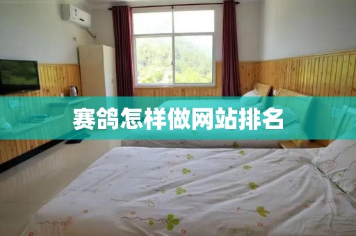 赛鸽怎样做网站排名