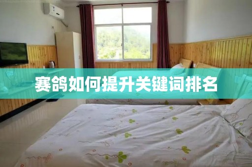 赛鸽如何提升关键词排名