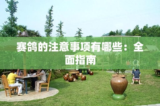 赛鸽的注意事项有哪些：全面指南