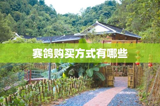 赛鸽购买方式有哪些