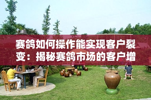 赛鸽如何操作能实现客户裂变：揭秘赛鸽市场的客户增长策略