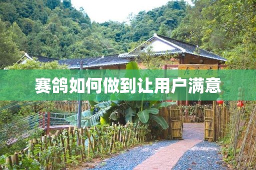 赛鸽如何做到让用户满意