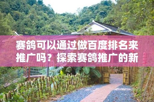 赛鸽可以通过做百度排名来推广吗？探索赛鸽推广的新途径