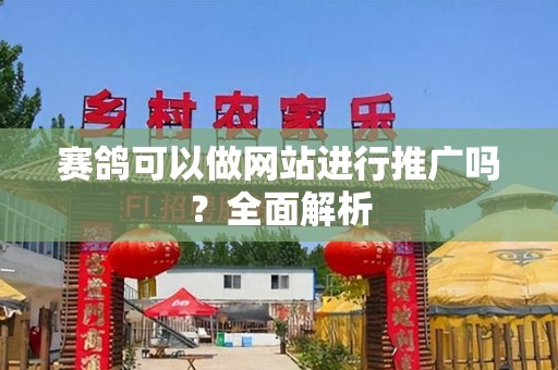赛鸽可以做网站进行推广吗？全面解析