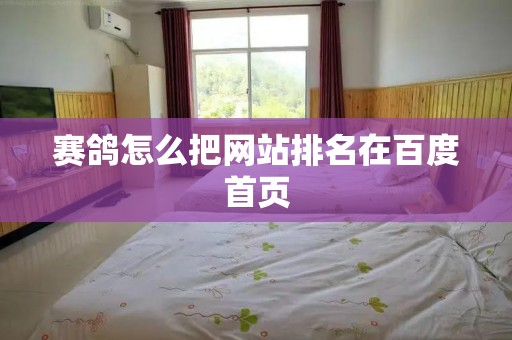 赛鸽怎么把网站排名在百度首页