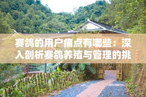 赛鸽的用户痛点有哪些：深入剖析赛鸽养殖与管理的挑战