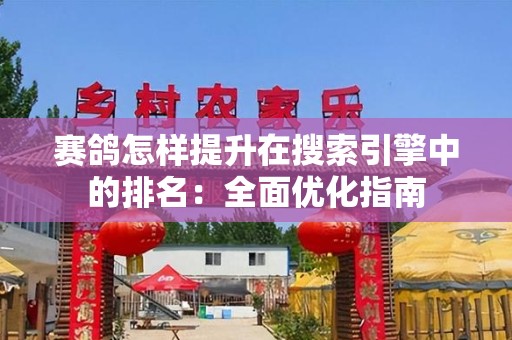赛鸽怎样提升在搜索引擎中的排名：全面优化指南