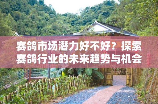 赛鸽市场潜力好不好？探索赛鸽行业的未来趋势与机会