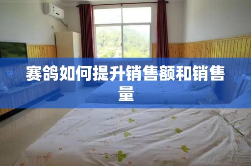 赛鸽如何提升销售额和销售量