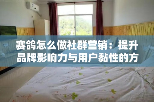 赛鸽怎么做社群营销：提升品牌影响力与用户黏性的方法探讨