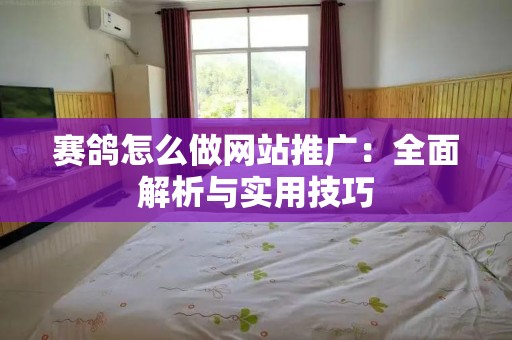 赛鸽怎么做网站推广：全面解析与实用技巧