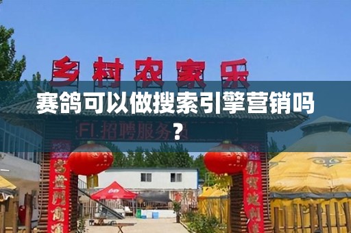 赛鸽可以做搜索引擎营销吗？
