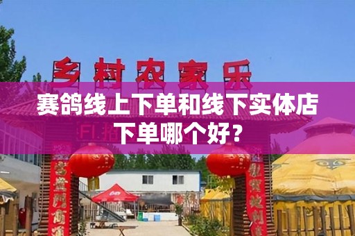 赛鸽线上下单和线下实体店下单哪个好？