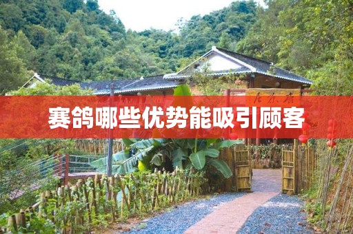 赛鸽哪些优势能吸引顾客