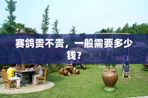 赛鸽贵不贵，一般需要多少钱？