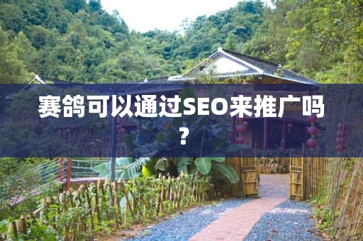 赛鸽可以通过SEO来推广吗？