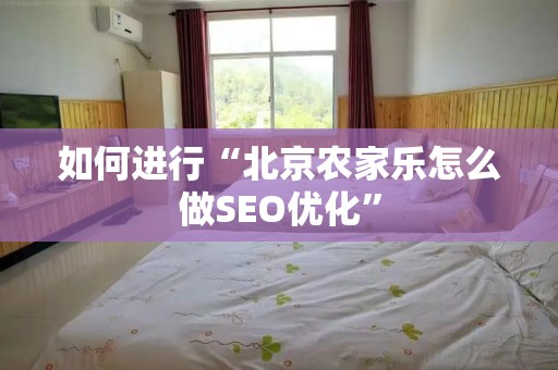 如何进行“北京农家乐怎么做SEO优化”