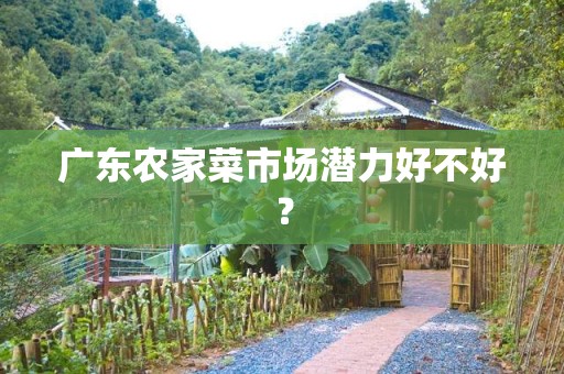 广东农家菜市场潜力好不好？